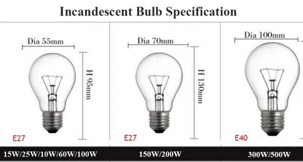 Clear incandescent light bulb - Image 8