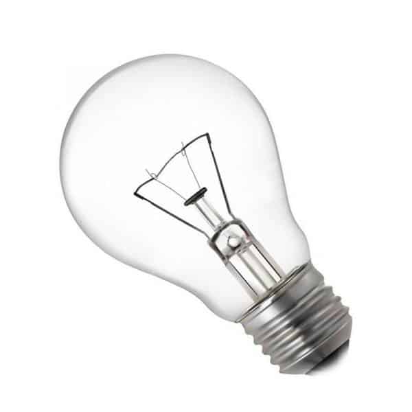 Clear incandescent light bulb - Image 5